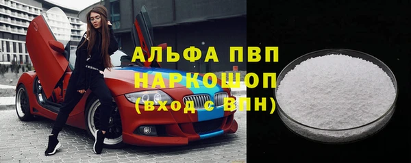 шишки Белокуриха