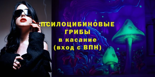 шишки Белокуриха