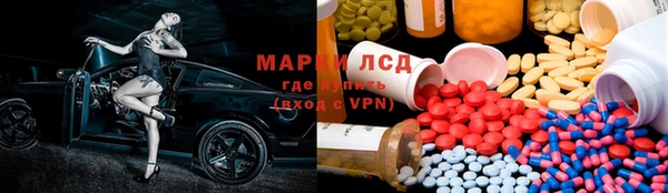 шишки Белокуриха