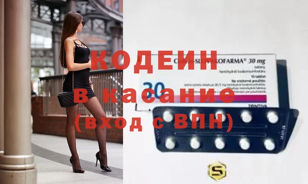 шишки Белокуриха