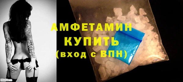 шишки Белокуриха