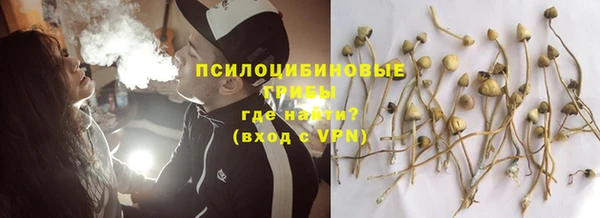 шишки Белокуриха