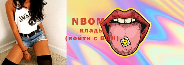 шишки Белокуриха