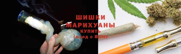 шишки Белокуриха