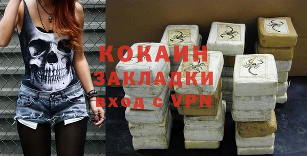 шишки Белокуриха