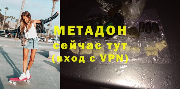 шишки Белокуриха