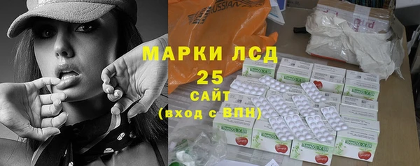 шишки Белокуриха