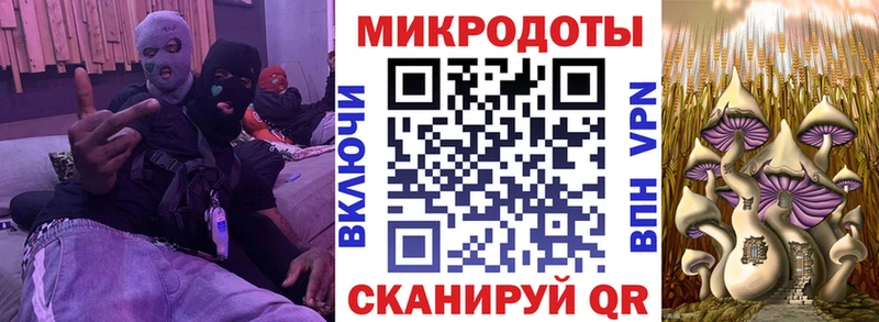 Псилоцибиновые грибы MAGIC MUSHROOMS  нарко площадка какой сайт  Шенкурск  наркота 